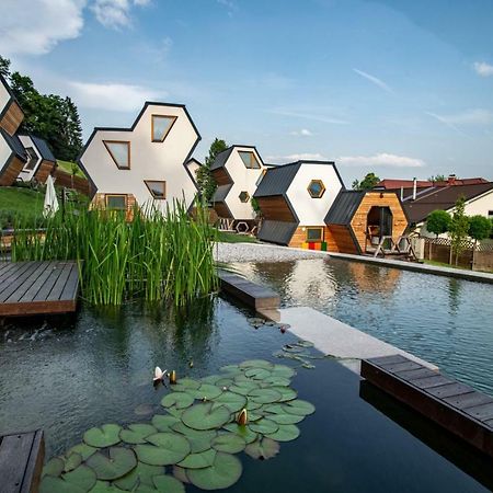 Apartments Beeland Skok Mozirje Zewnętrze zdjęcie